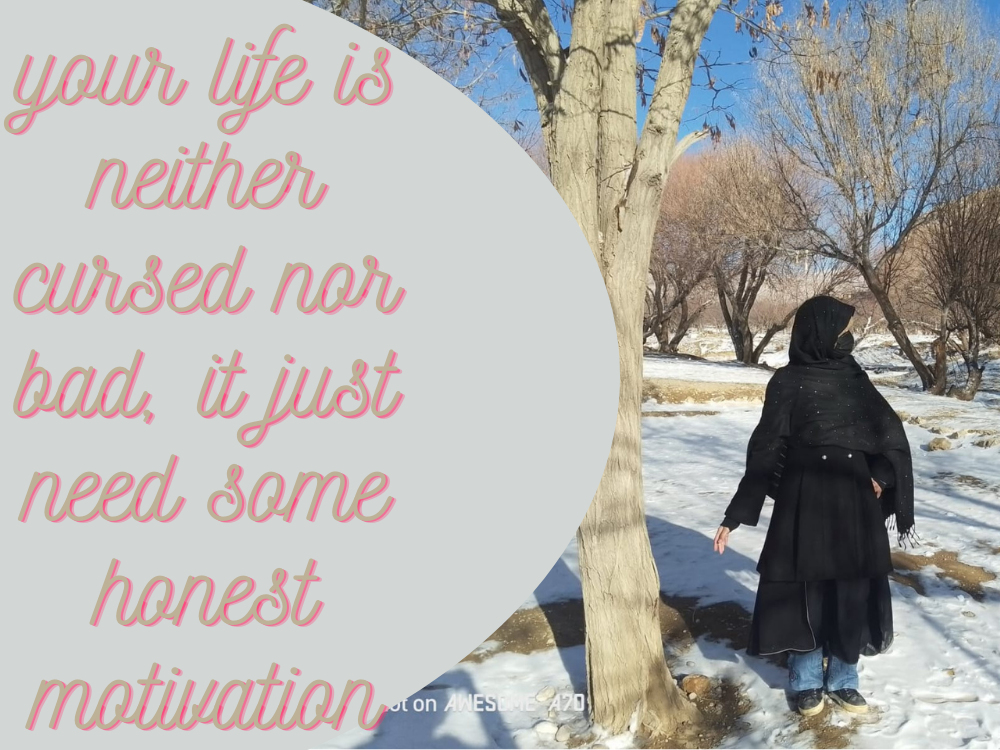 I will provide consultation and tutoring services